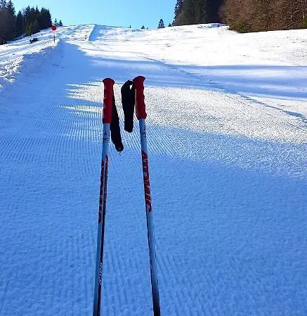 Residenz Grafenmatt * Feldberg (Baden-Wurttemberg)