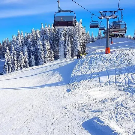 Apartment Residenz Grafenmatt Feldberg (Baden-Wurttemberg)